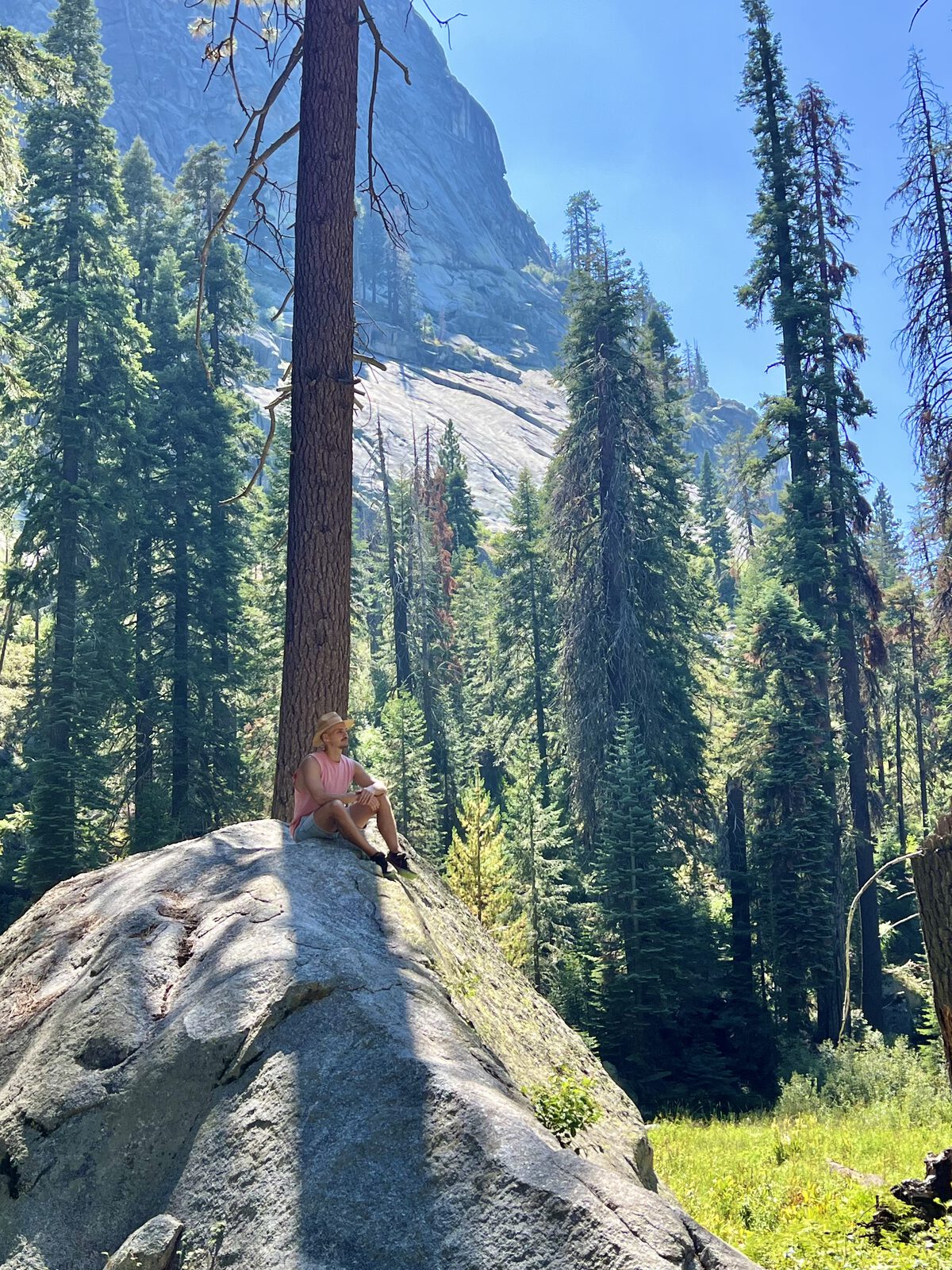 Among the redwoods